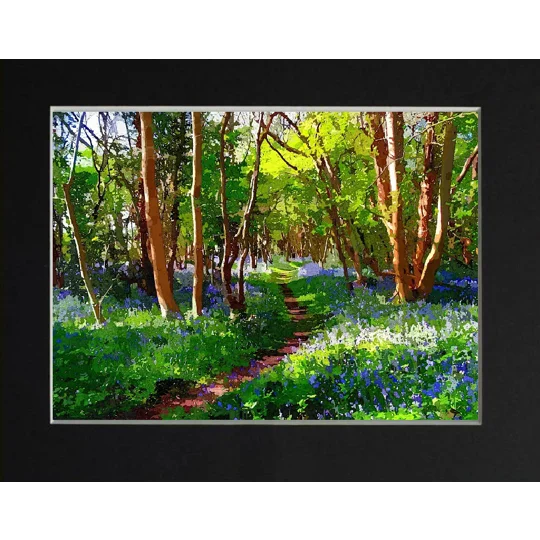 Blue bells Forest of Dean