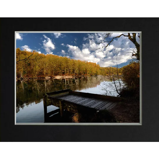 The fishing spot Cannop ponds