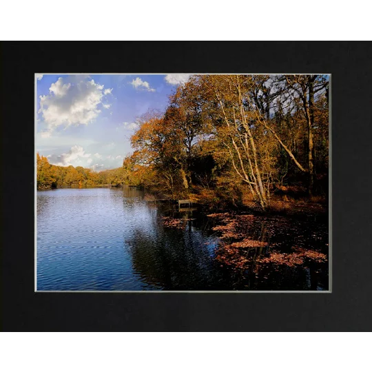 Cannop ponds