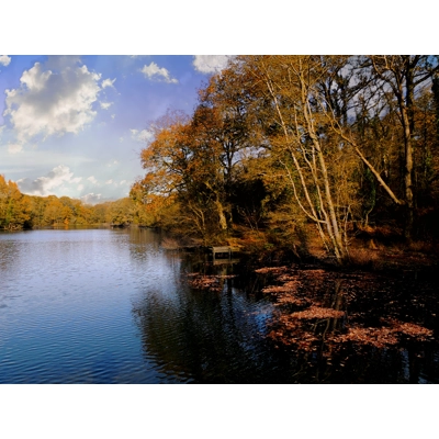 Cannop ponds Cannop ponds