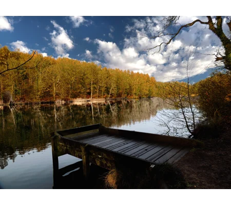 The fishing spot Cannop ponds