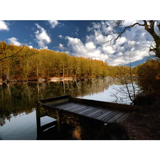 The fishing spot Cannop ponds