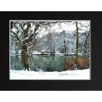 Canop ponds in the snow
