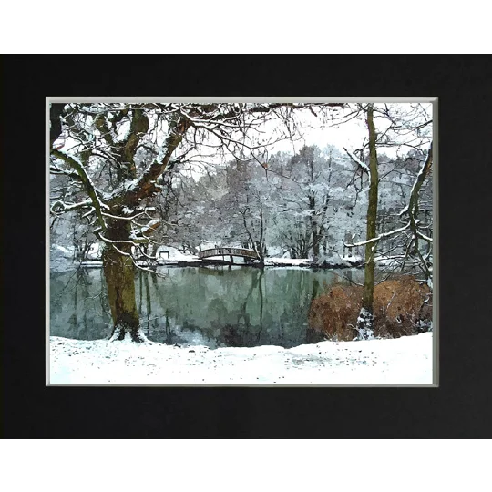 Canop ponds in the snow