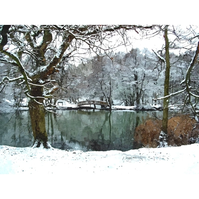 Canop ponds in the snow Canop ponds in the snow