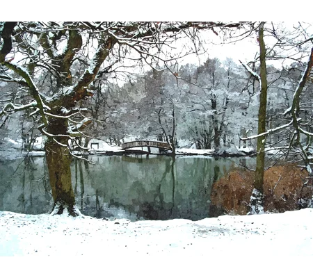 Canop ponds in the snow