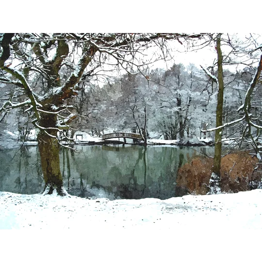 Canop ponds in the snow