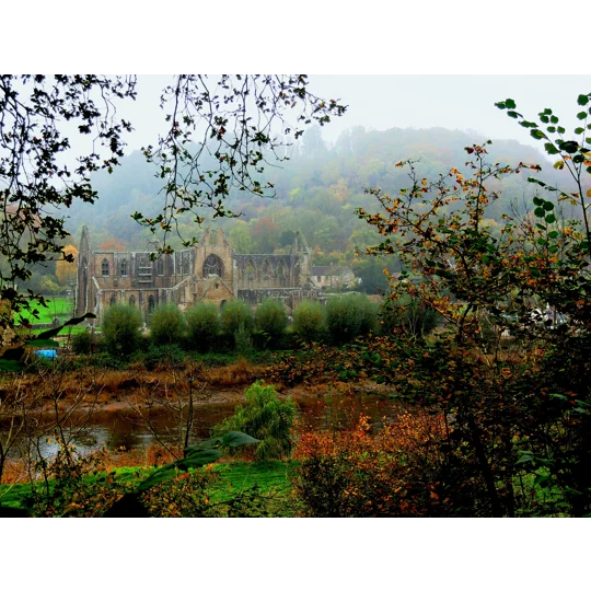 Tintern Abbey