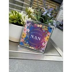 Worlds best Nan coaster