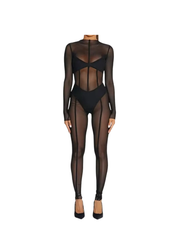 See Through Jumpsuit