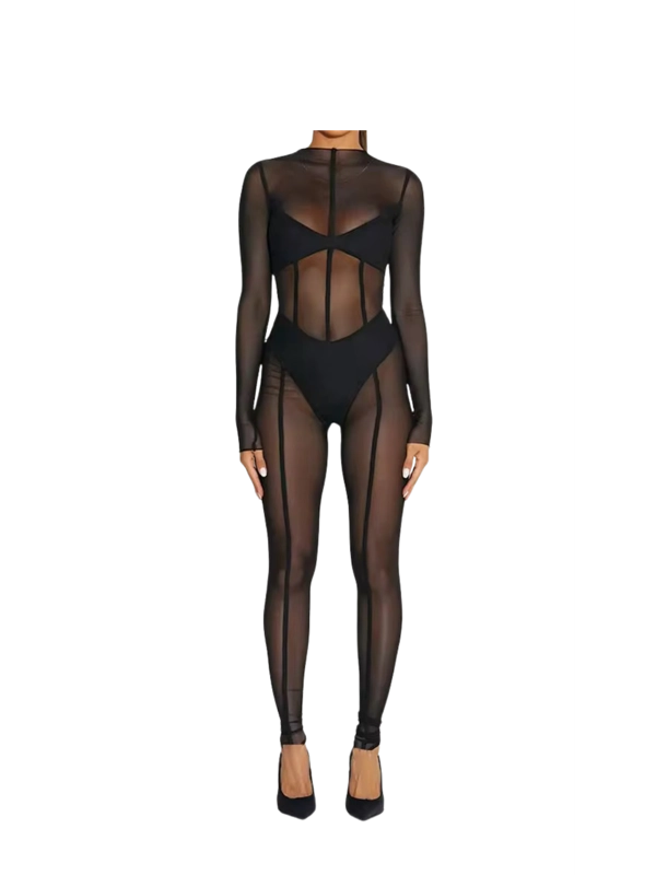 See Through Jumpsuit