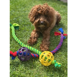 Ball Tuggy