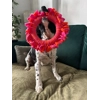 Zoomies Toss and Tug