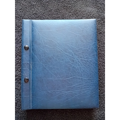 Ersttagsblatt 1981 - 1983 CTO in album