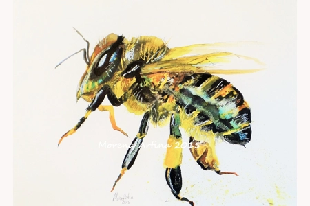 Honey Bee Print Honey Bee Print