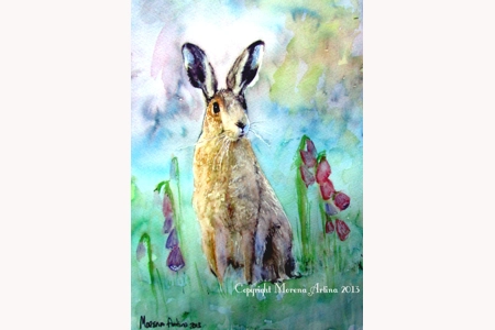 Dreamy Hare 15 x 11 A3 Dreamy Hare 15 x 11 A3