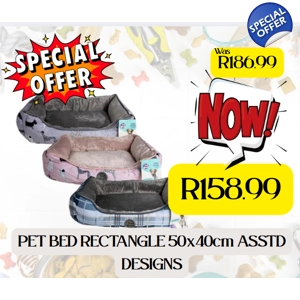 072-020226-BPET BED RECTANGLE 50x40cm ASSTD DESIGNS
