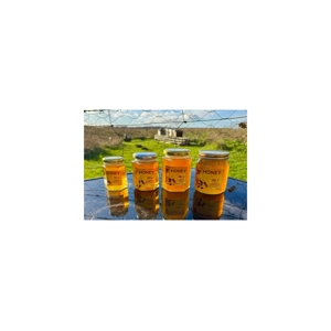 Honey 12 oz Honey 12 oz