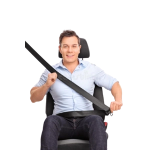 Standard Seat Belt