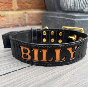 Custom dog collar SOLD