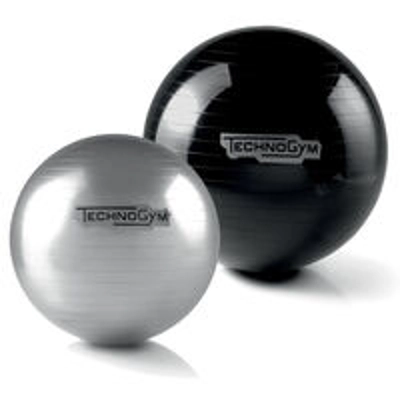 Wellness Ball Training