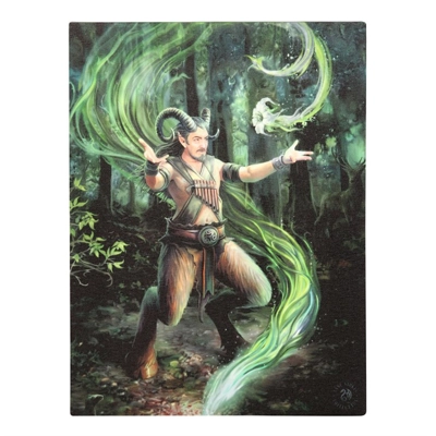Earth Element Wizard Canvas Plaque