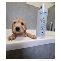 Aloe Vera & Cucumber Pet Shampoo