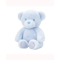 Blue Bear Soft Toy