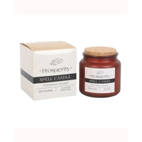 Cinnamon Infused Prosperity Spell..