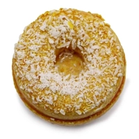 Cinnamon & Vanilla Bath Donuts