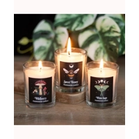 Dark Forest Votive Candle Trio