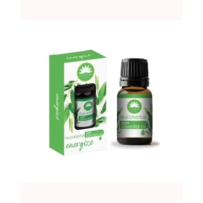 Essential Oil - Eucalyptus
