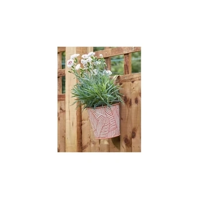 Fern Hanging Pot - Terracotta Fern Hanging Pot - Terracotta
