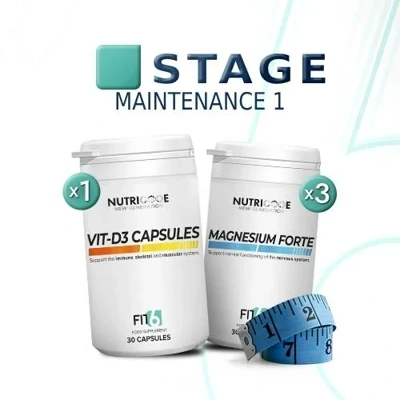 FIT 6 - NEW GENERATION MAINTENANCE 1 FIT 6 - NEW GENERATION MAINTENANCE 1