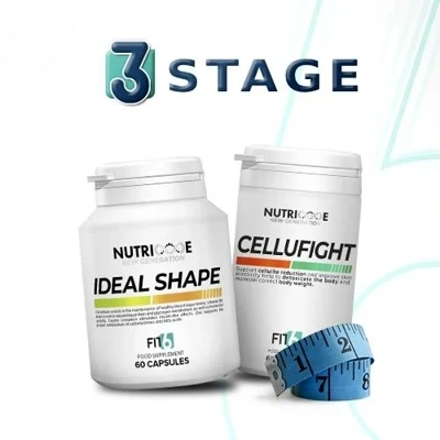 FIT 6 - NEW GENERATION STAGE 3 FIT 6 - NEW GENERATION STAGE 3