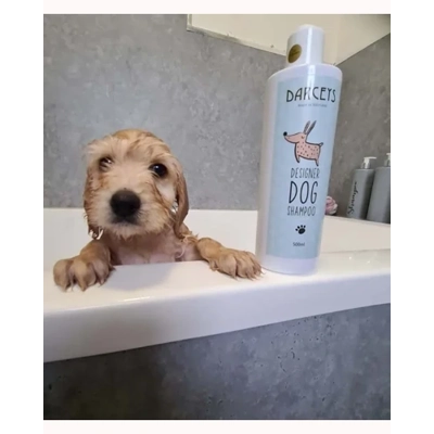 Mr Darcey Adventure Pet Shampoo Mr Darcey Adventure Pet Shampoo