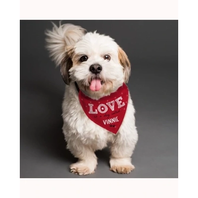 Personalised Love is... Dog Bandana Personalised Love is... Dog Bandana