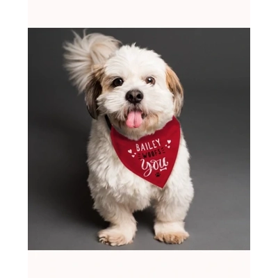 Personalised Woofs You Dog Bandana Personalised Woofs You Dog Bandana
