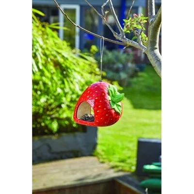 Strawberry Fly Through Feeder Strawberry Fly Through Feeder