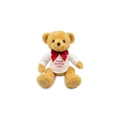 Teddy Bear Teddy Bear