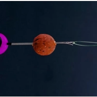 Carp Fishing Bait Needle Set - 5pcs Pop Up Boilie Rig Tools