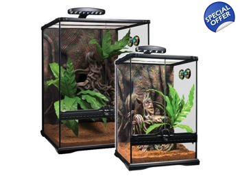 Exo terra 2025 crested gecko kit