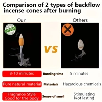 Mountain Flow Backflow Incense Fountain – Zen Waterfall Burner + 60 Natural Cones