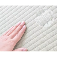 Foldable Japanese-Style Tatami Mat – Natural Rush Grass Floor Mattress for Mindful Living