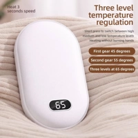 2-in-1 Pebble Hand Warmer & Power Bank – 10,000mAh USB Rechargeable Pocket Comfort