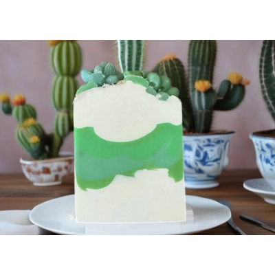 Cactus Soap love spell