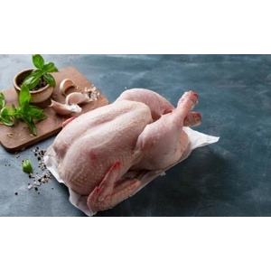 AA Grade Bentong Chicken (Whole)