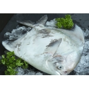 Chinese Promfret Whole (1kg)