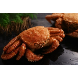 Boiled Horsehair Crab/Kegani (2 pieces)