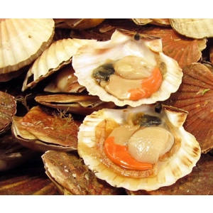 Half Shelled Scallops (300g)